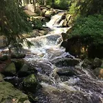 Harznest