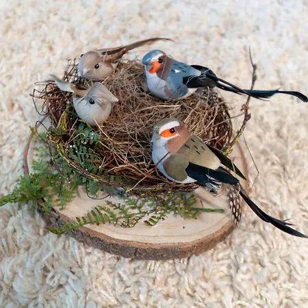 Harznest * Braunlage