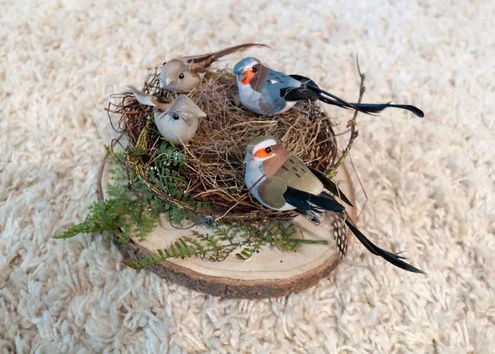 Harznest * Braunlage